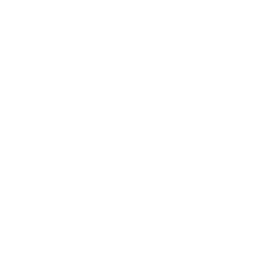 meisterbetrieb logo weiss